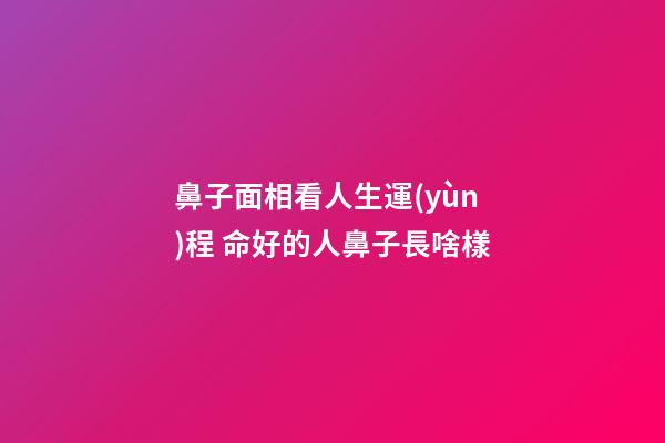 鼻子面相看人生運(yùn)程 命好的人鼻子長啥樣